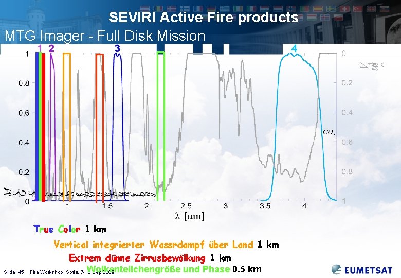 SEVIRI Active Fire products MTG Imager - Full Disk Mission True Color 1 km