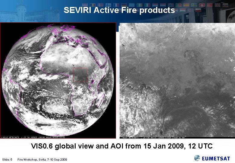 SEVIRI Active Fire products VIS 0. 6 global view and AOI from 15 Jan