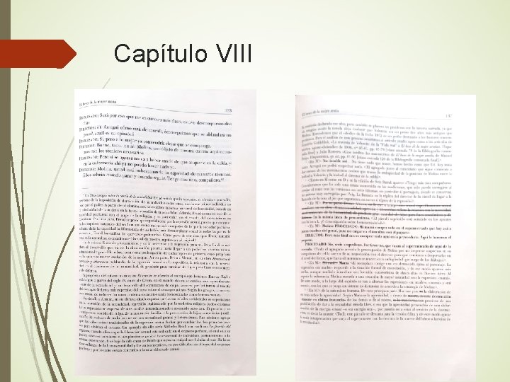 Capítulo VIII 