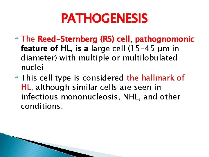 PATHOGENESIS The Reed-Sternberg (RS) cell, pathognomonic feature of HL, is a large cell (15