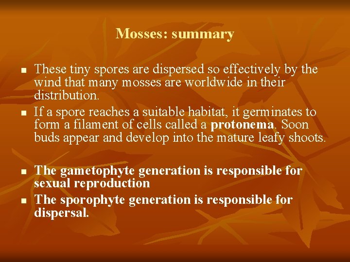 Mosses: summary n n These tiny spores are dispersed so effectively by the wind