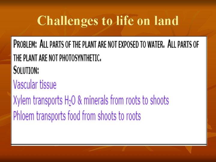 Challenges to life on land 