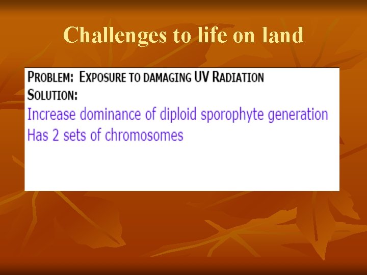 Challenges to life on land 