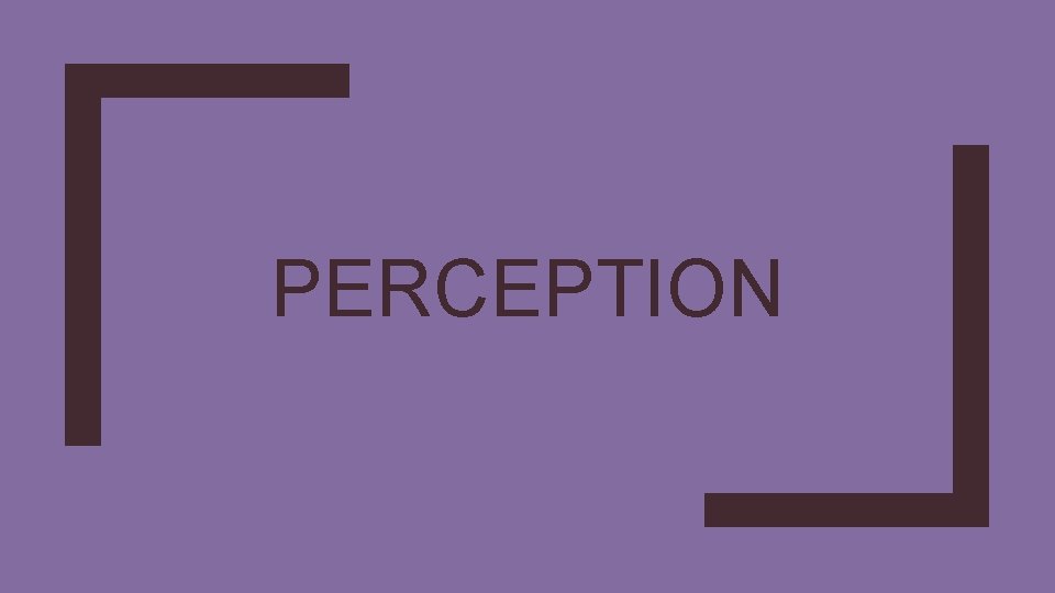 PERCEPTION 