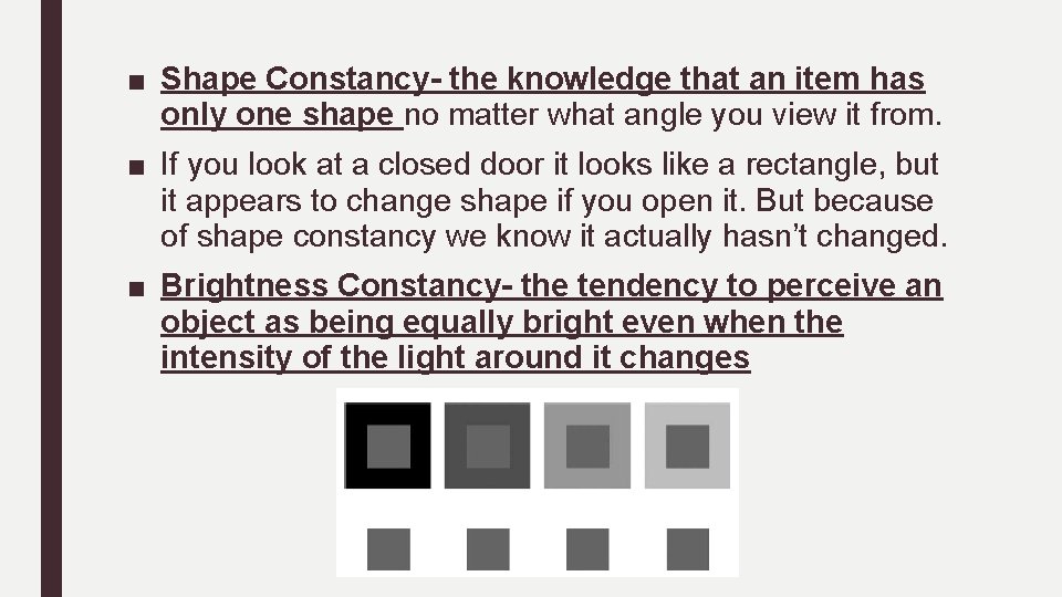 ■ Shape Constancy- the knowledge that an item has only one shape no matter