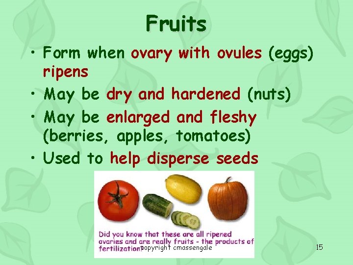 Fruits • Form when ovary with ovules (eggs) ripens • May be dry and