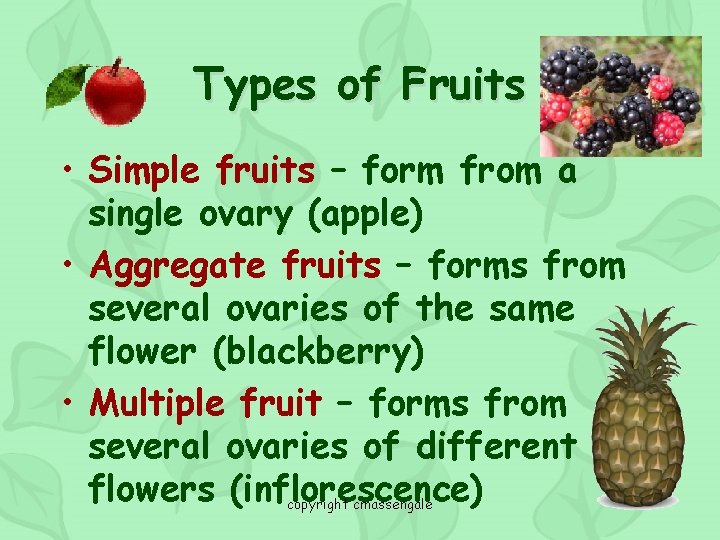 Types of Fruits • Simple fruits – form from a single ovary (apple) •