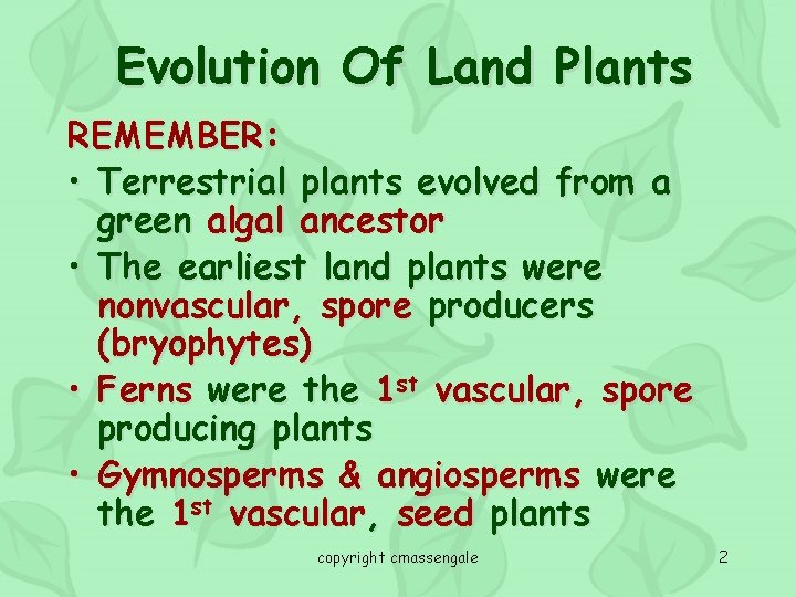 Evolution Of Land Plants REMEMBER: • Terrestrial plants evolved from a green algal ancestor