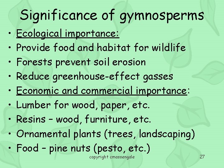 Significance of gymnosperms • • • Ecological importance: Provide food and habitat for wildlife