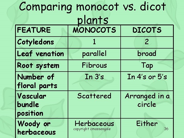 Comparing monocot vs. dicot plants FEATURE MONOCOTS DICOTS Cotyledons 1 2 Leaf venation parallel