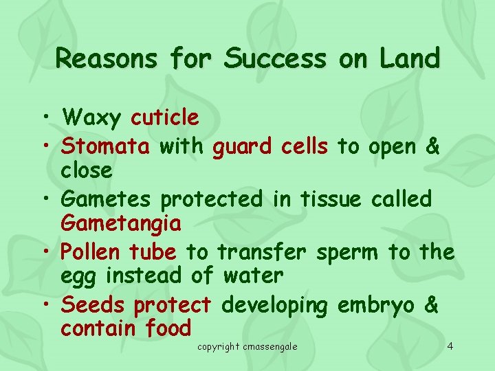 Reasons for Success on Land • Waxy cuticle • Stomata with guard cells to