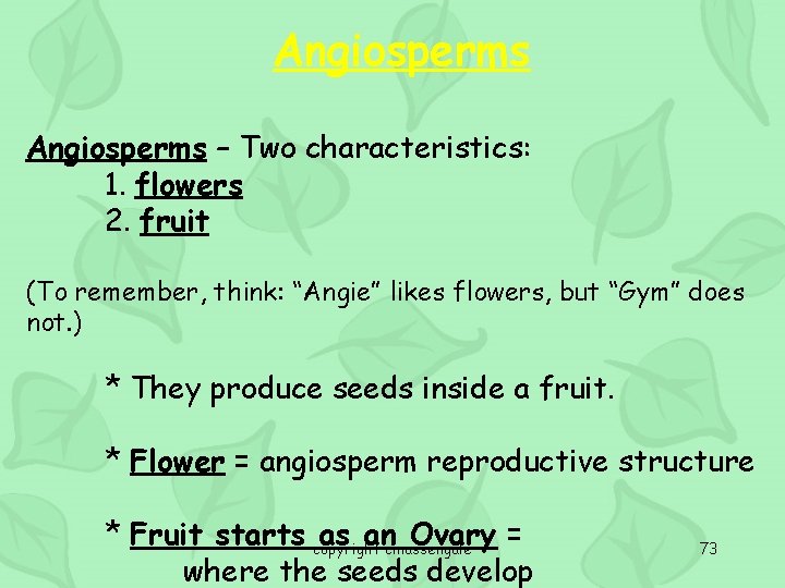 Angiosperms – Two characteristics: 1. flowers 2. fruit (To remember, think: “Angie” likes flowers,
