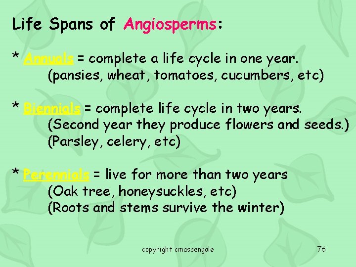Life Spans of Angiosperms: * Annuals = complete a life cycle in one year.