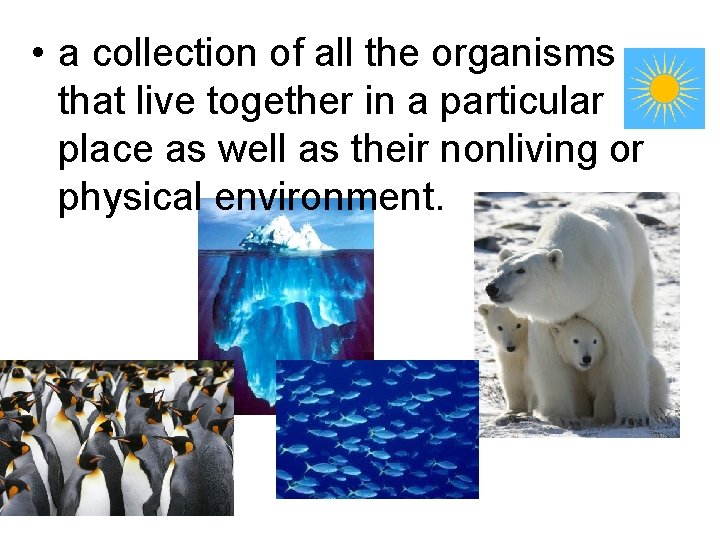  • a collection of all the organisms that live together in a particular