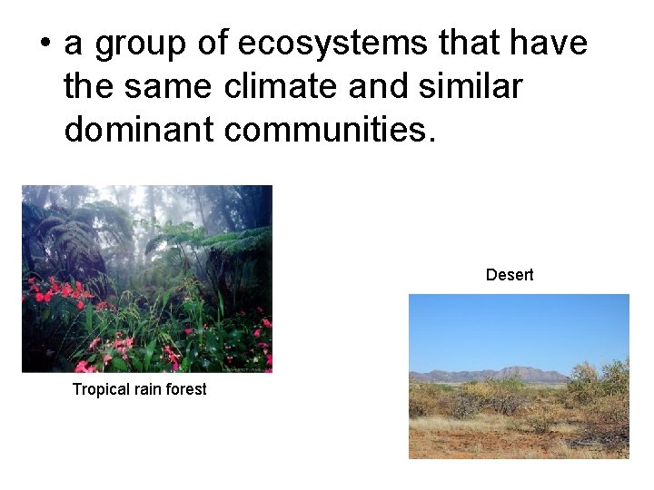  • a group of ecosystems that have the same climate and similar dominant