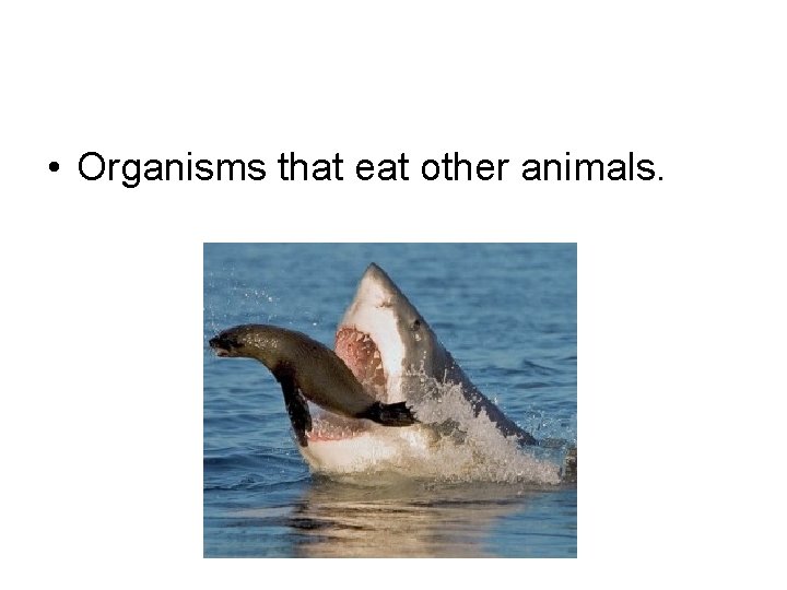  • Organisms that eat other animals. 