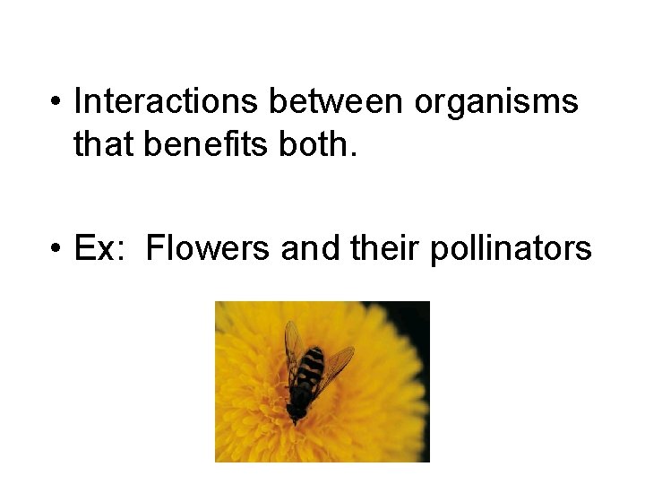  • Interactions between organisms that benefits both. • Ex: Flowers and their pollinators