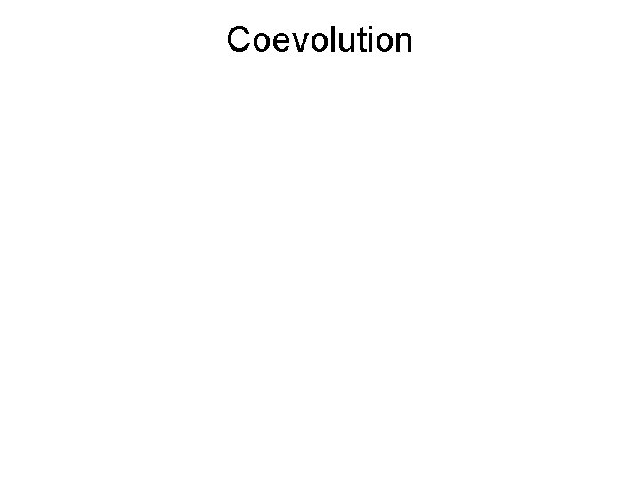 Coevolution 