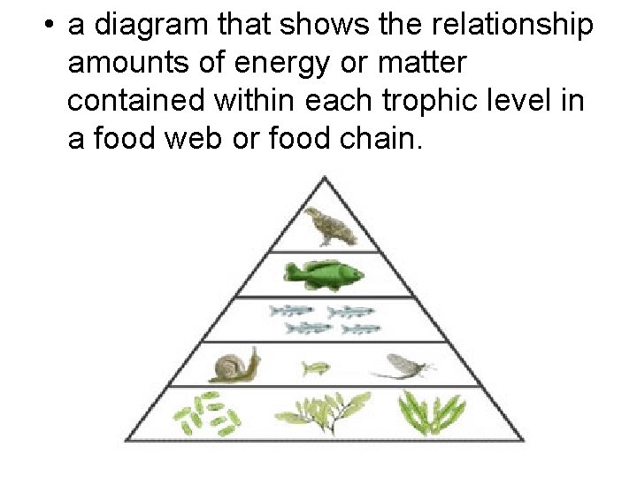  • a diagram that shows the relationship amounts of energy or matter contained