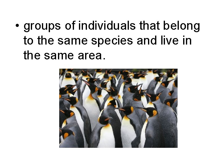  • groups of individuals that belong to the same species and live in