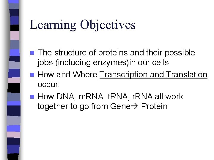 Learning Objectives The structure of proteins and their possible jobs (including enzymes)in our cells