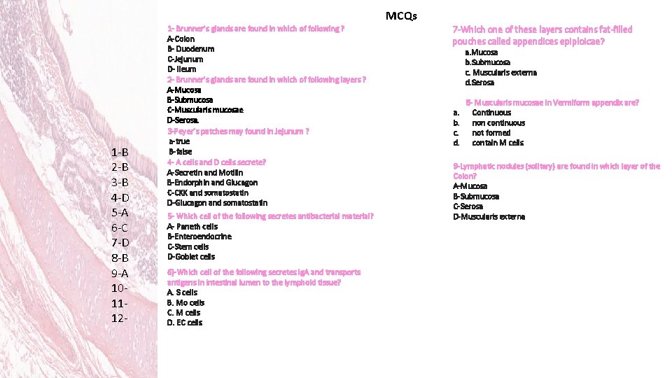 MCQs 1 -B 2 -B 3 -B 4 -D 5 -A 6 -C 7