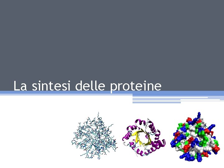 La sintesi delle proteine 