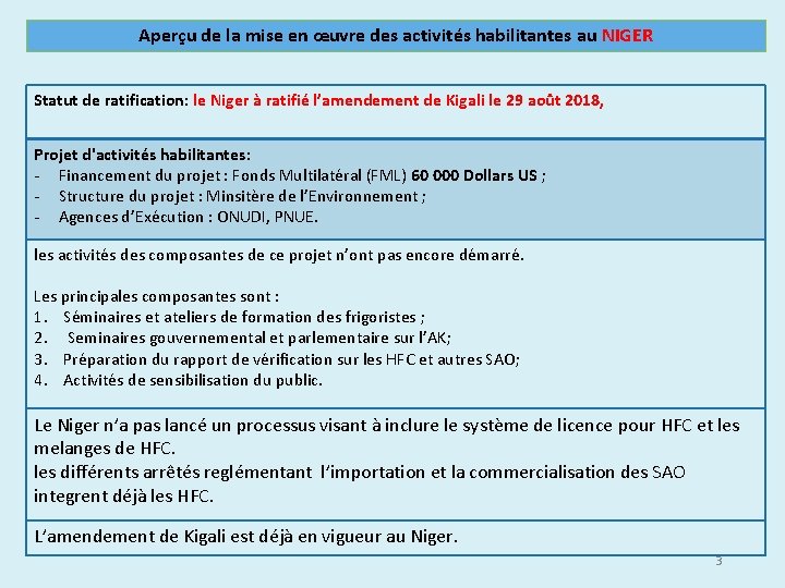 Aperçu de la mise en œuvre des activités habilitantes au NIGER Statut de ratification: