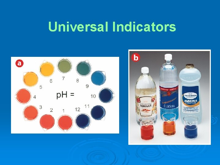 Universal Indicators 