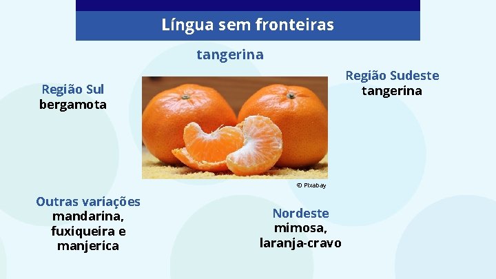 Língua sem fronteiras tangerina Região Sudeste tangerina Região Sul bergamota © Pixabay Outras variações