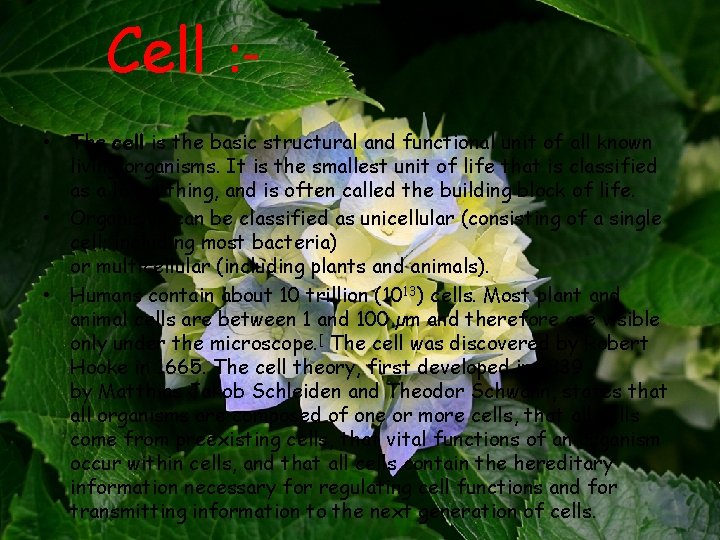 Cell : • The cell is the basic structural and functional unit of all