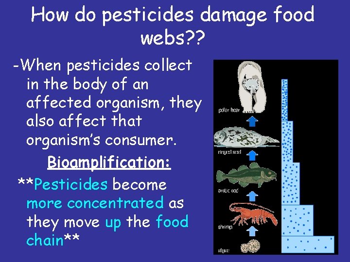 How do pesticides damage food webs? ? -When pesticides collect in the body of