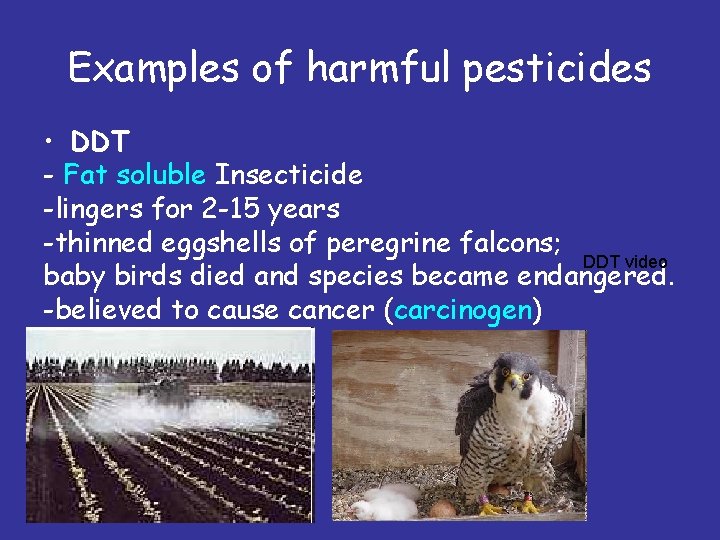 Examples of harmful pesticides • DDT - Fat soluble Insecticide -lingers for 2 -15