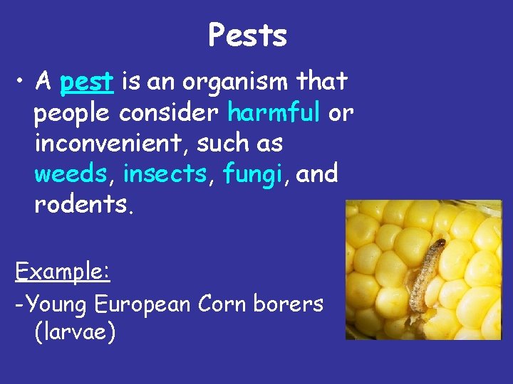 Pests • A pest is an organism that people consider harmful or inconvenient, such