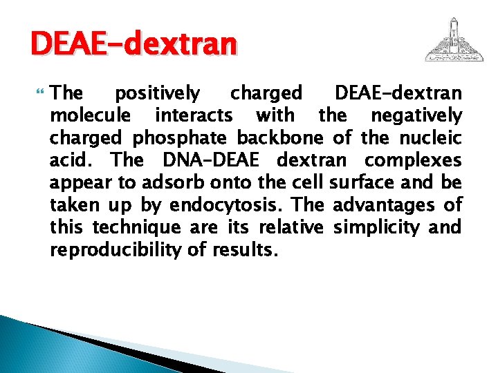 DEAE-dextran The positively charged DEAE-dextran molecule interacts with the negatively charged phosphate backbone of