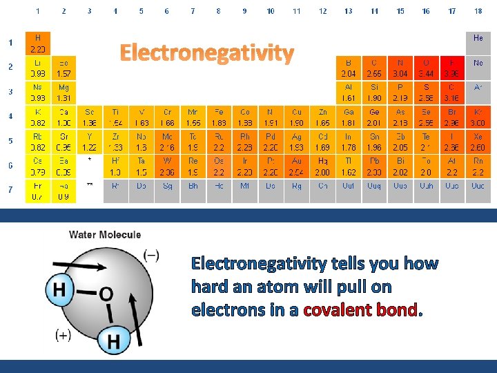 Electronegativity tells you how hard an atom will pull on electrons in a covalent