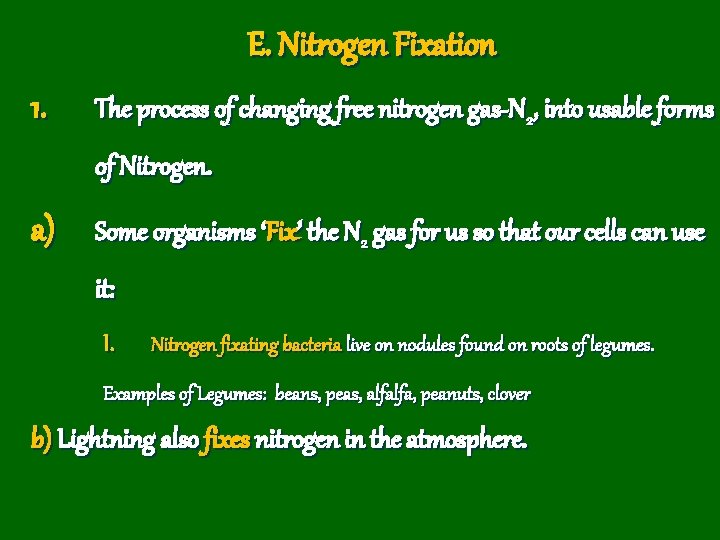 E. Nitrogen Fixation 1. The process of changing free nitrogen gas-N 2, into usable