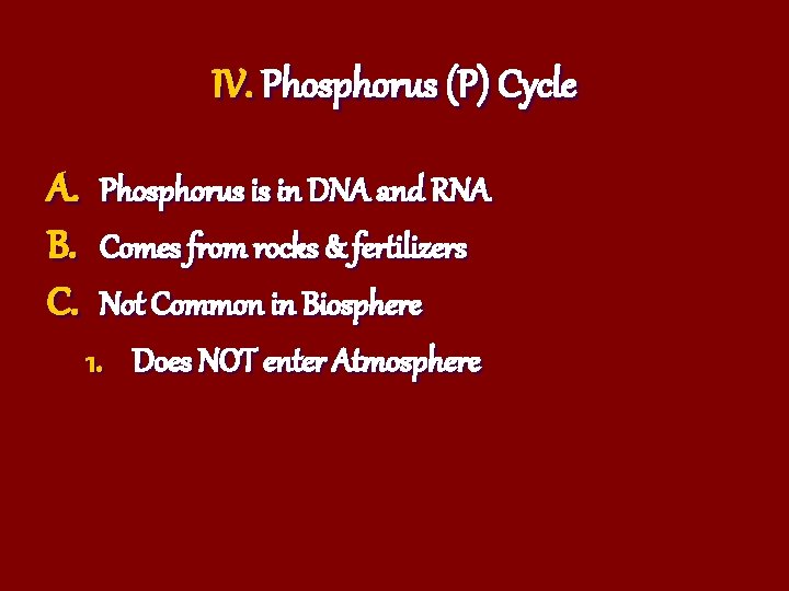 IV. Phosphorus (P) Cycle A. B. C. Phosphorus is in DNA and RNA Comes
