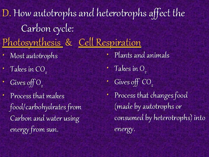 D. How autotrophs and heterotrophs affect the Carbon cycle: Photosynthesis & Cell Respiration •