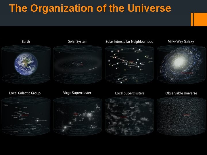 The Organization of the Universe 