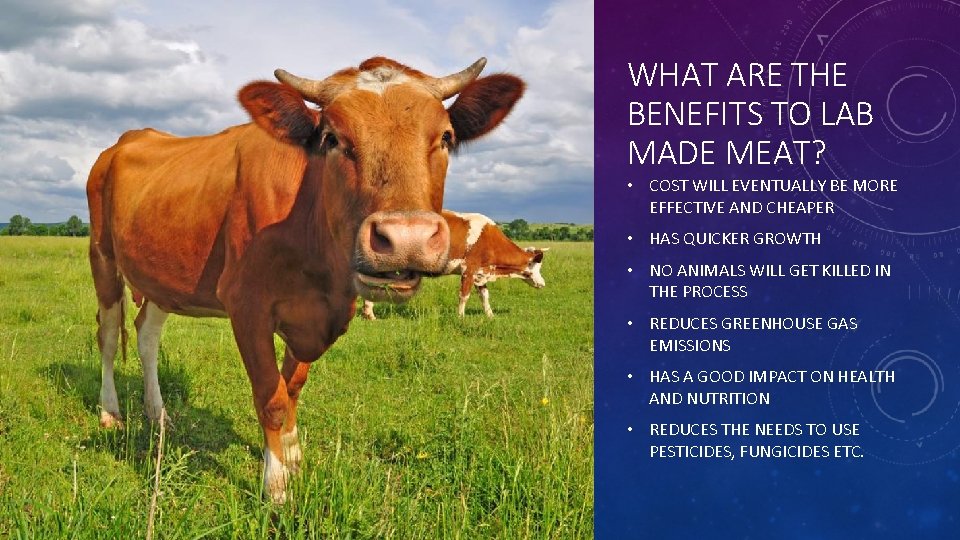 WHAT ARE THE BENEFITS TO LAB MADE MEAT? • COST WILL EVENTUALLY BE MORE