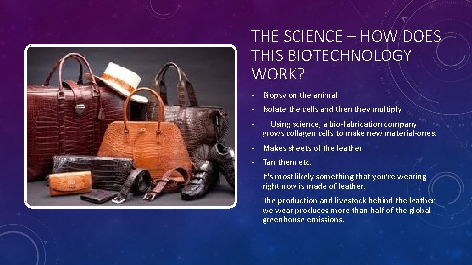 THE SCIENCE – HOW DOES THIS BIOTECHNOLOGY WORK? - Biopsy on the animal -