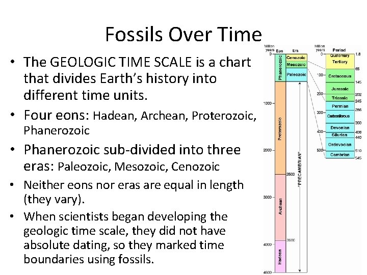 Fossils Over Time • The GEOLOGIC TIME SCALE is a chart that divides Earth’s