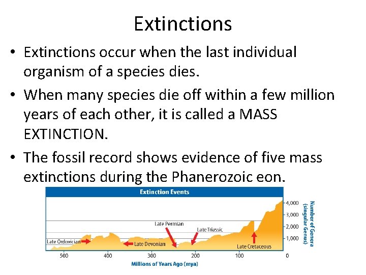 Extinctions • Extinctions occur when the last individual organism of a species dies. •