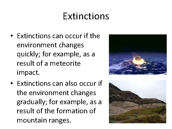 Extinctions • Extinctions can occur if the environment changes quickly; for example, as a
