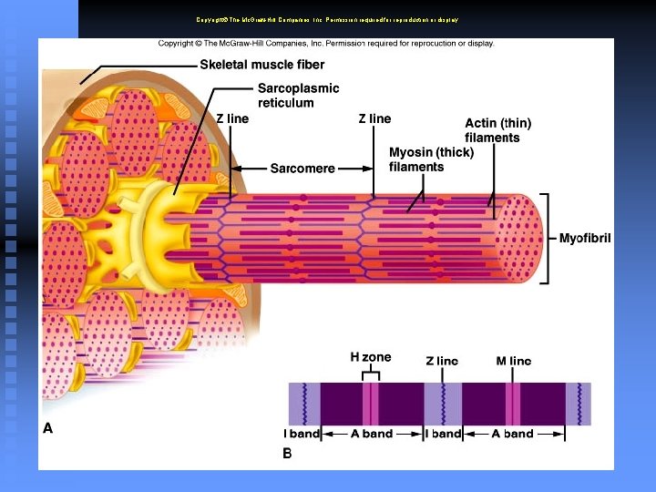 Copyright The Mc. Graw-Hill Companies, Inc. Permission required for reproduction or display. 6 -