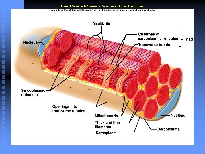 Copyright The Mc. Graw-Hill Companies, Inc. Permission required for reproduction or display. 6 -