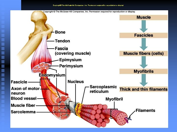 Copyright The Mc. Graw-Hill Companies, Inc. Permission required for reproduction or display. 6 -6