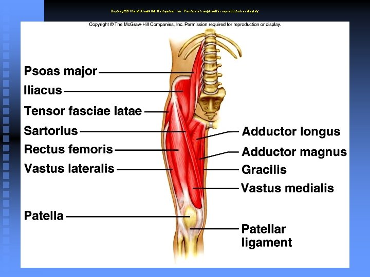 Copyright The Mc. Graw-Hill Companies, Inc. Permission required for reproduction or display. 6 -