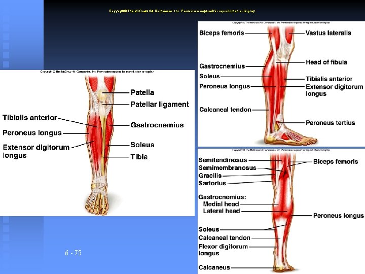 Copyright The Mc. Graw-Hill Companies, Inc. Permission required for reproduction or display. 6 -